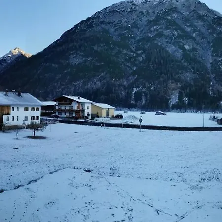 Bergfuier